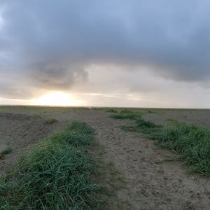 Meet your Posher, Cory